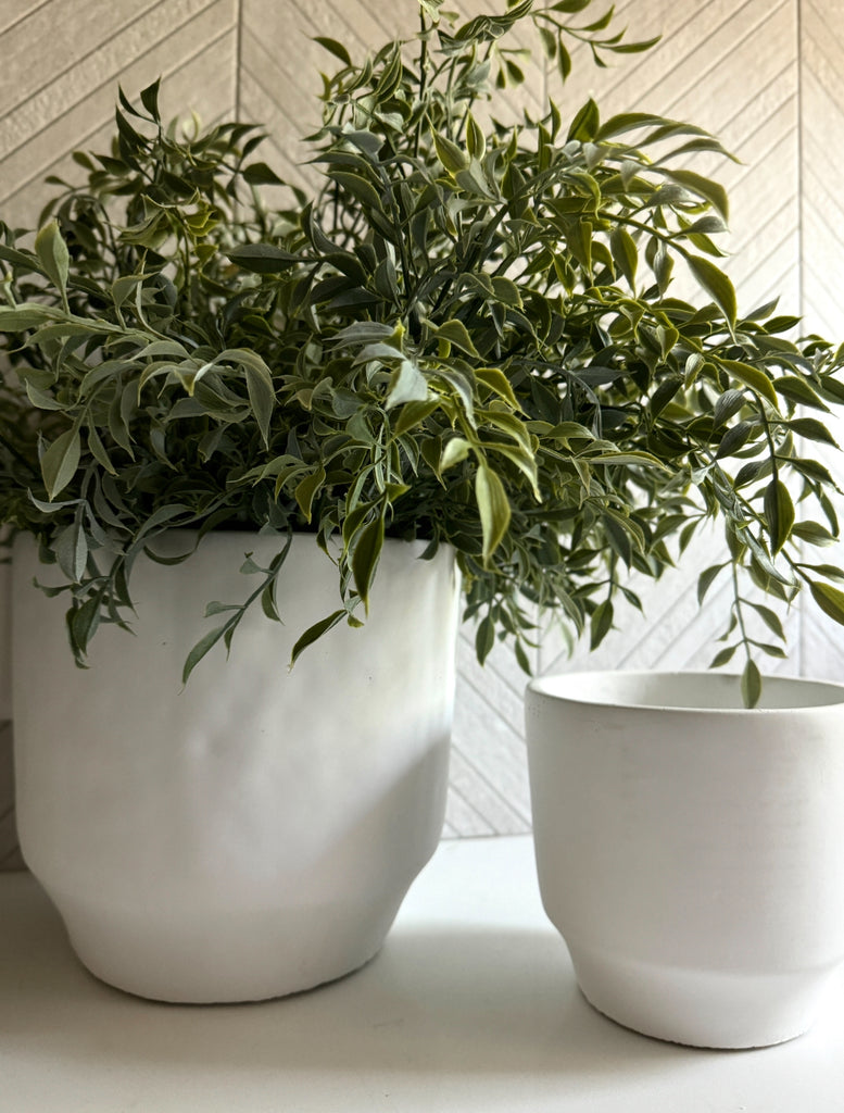 Soft Touch Ruscus Stem