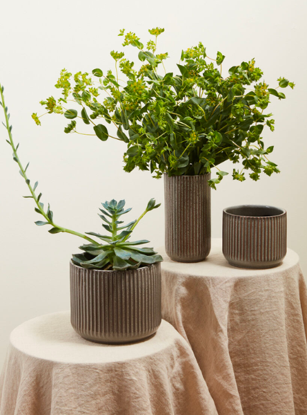 Fluted Pot Collection – The Style Edit Collective
